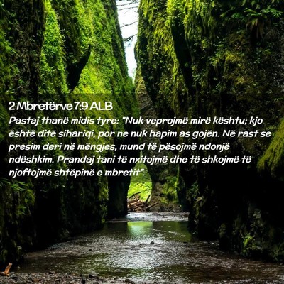 Picture 02 - 2 Mbretërve 7:9 ALB - Pastaj thanë midis tyre: 