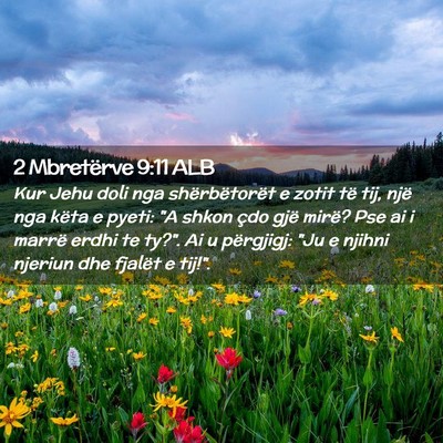 Picture 02 - 2 Mbretërve 9:11 ALB - Kur Jehu doli nga shërbëtorët e zotit të tij, - Bible Verse Picture