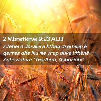 Picture 02 - 2 Mbretërve 9:23 ALB - Atëherë Jorami e ktheu drejtimin e qerres dhe - Bible Verse Picture