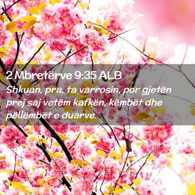 Picture 02 - 2 Mbretërve 9:35 ALB - Shkuan, pra, ta varrosin, por gjetën prej saj - Bible Verse Picture