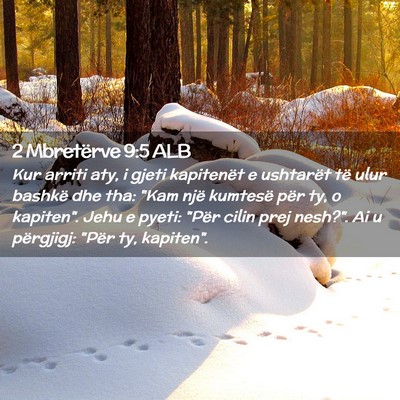 Picture 02 - 2 Mbretërve 9:5 ALB - Kur arriti aty, i gjeti kapitenët e ushtarët - Bible Verse Picture