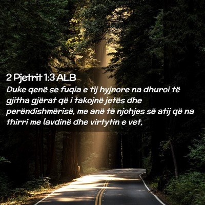 Picture 02 - 2 Pjetrit 1:3 ALB - Duke qenë se fuqia e tij hyjnore na dhuroi të - Bible Verse Picture