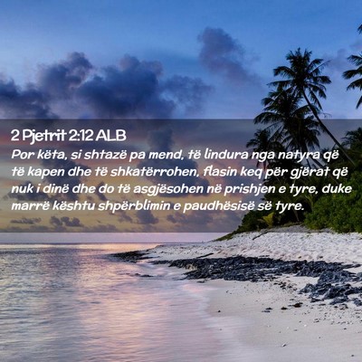 Picture 02 - 2 Pjetrit 2:12 ALB - Por këta, si shtazë pa mend, të lindura nga - Bible Verse Picture
