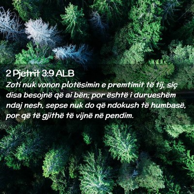 Picture 02 - 2 Pjetrit 3:9 ALB - Zoti nuk vonon plotësimin e premtimit të tij, - Bible Verse Picture