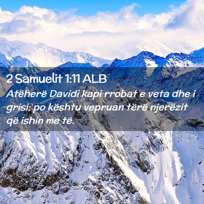 Picture 02 - 2 Samuelit 1:11 ALB - Atëherë Davidi kapi rrobat e veta dhe i grisi; - Bible Verse Picture