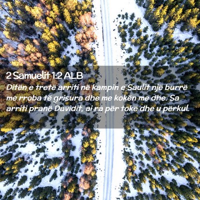 Picture 02 - 2 Samuelit 1:2 ALB - Ditën e tretë arriti në kampin e Saulit një - Bible Verse Picture