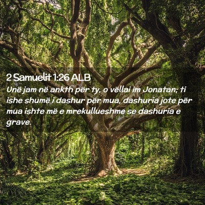 Picture 02 - 2 Samuelit 1:26 ALB - Unë jam në ankth për ty, o vëllai im Jonatan; - Bible Verse Picture