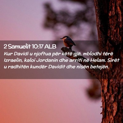 Picture 02 - 2 Samuelit 10:17 ALB - Kur Davidi u njoftua për këtë gjë, mblodhi - Bible Verse Picture