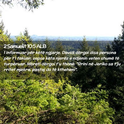 Picture 02 - 2 Samuelit 10:5 ALB - I informuar për këtë ngjarje, Davidi dërgoi - Bible Verse Picture
