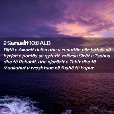 Picture 02 - 2 Samuelit 10:8 ALB - Bijtë e Amonit dolën dhe u renditën për - Bible Verse Picture