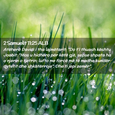 Picture 02 - 2 Samuelit 11:25 ALB - Atëherë Davidi i tha lajmëtarit: 