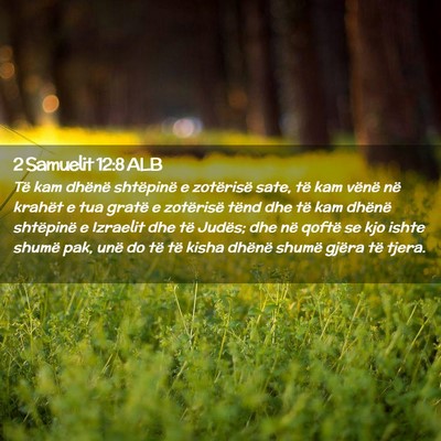 Picture 02 - 2 Samuelit 12:8 ALB - Të kam dhënë shtëpinë e zotërisë sate, të - Bible Verse Picture