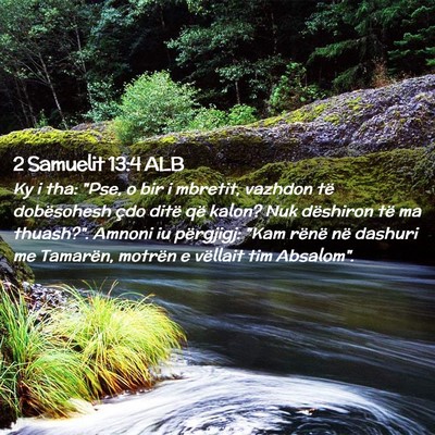Picture 02 - 2 Samuelit 13:4 ALB - Ky i tha: 
