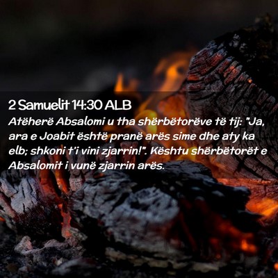 Picture 02 - 2 Samuelit 14:30 ALB - Atëherë Absalomi u tha shërbëtorëve të tij: - Bible Verse Picture