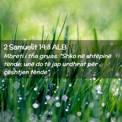Picture 02 - 2 Samuelit 14:8 ALB - Mbreti i tha gruas: 