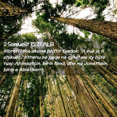 Picture 02 - 2 Samuelit 15:27 ALB - Mbreti i tha akoma priftit Tsadok: 