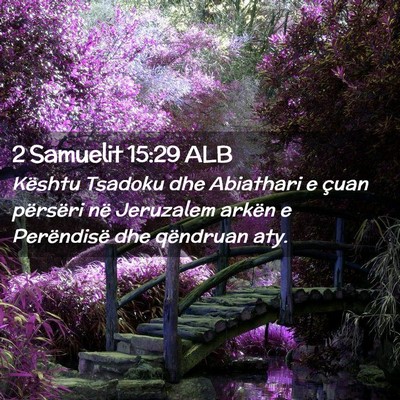 Picture 02 - 2 Samuelit 15:29 ALB - Kështu Tsadoku dhe Abiathari e çuan përsëri - Bible Verse Picture