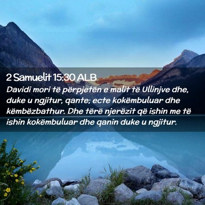 Picture 02 - 2 Samuelit 15:30 ALB - Davidi mori të përpjetën e malit të Ullinjve - Bible Verse Picture