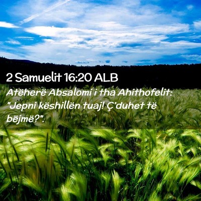 Picture 02 - 2 Samuelit 16:20 ALB - Atëherë Absalomi i tha Ahithofelit: 