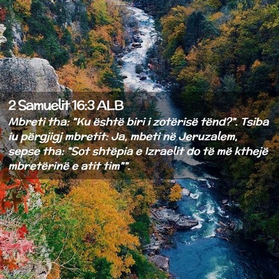 Picture 02 - 2 Samuelit 16:3 ALB - Mbreti tha: 