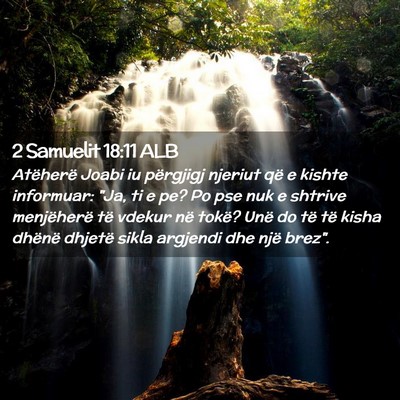 Picture 02 - 2 Samuelit 18:11 ALB - Atëherë Joabi iu përgjigj njeriut që e kishte - Bible Verse Picture