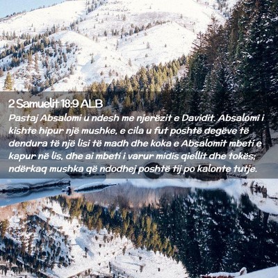 Picture 02 - 2 Samuelit 18:9 ALB - Pastaj Absalomi u ndesh me njerëzit e Davidit. - Bible Verse Picture