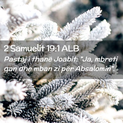 Picture 02 - 2 Samuelit 19:1 ALB - Pastaj i thanë Joabit: 