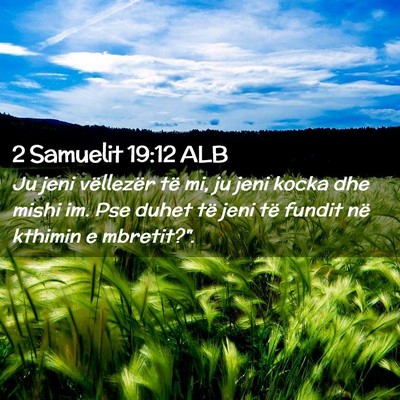 Picture 02 - 2 Samuelit 19:12 ALB - Ju jeni vëllezër të mi, ju jeni kocka dhe - Bible Verse Picture