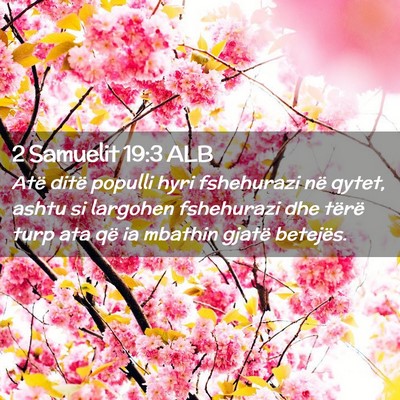Picture 02 - 2 Samuelit 19:3 ALB - Atë ditë populli hyri fshehurazi në qytet, - Bible Verse Picture