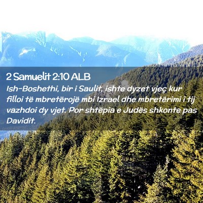 Picture 02 - 2 Samuelit 2:10 ALB - Ish-Boshethi, bir i Saulit, ishte dyzet vjeç kur - Bible Verse Picture