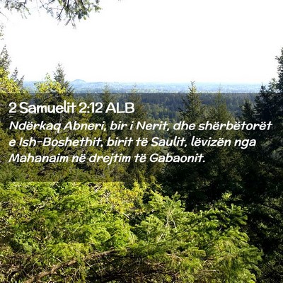 Picture 02 - 2 Samuelit 2:12 ALB - Ndërkaq Abneri, bir i Nerit, dhe shërbëtorët - Bible Verse Picture