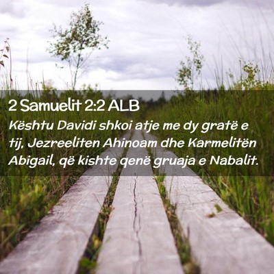 Picture 02 - 2 Samuelit 2:2 ALB - Kështu Davidi shkoi atje me dy gratë e tij, - Bible Verse Picture