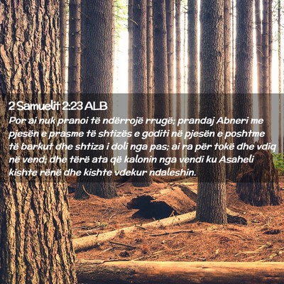 Picture 02 - 2 Samuelit 2:23 ALB - Por ai nuk pranoi të ndërrojë rrugë; prandaj - Bible Verse Picture