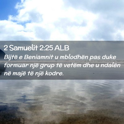 Picture 02 - 2 Samuelit 2:25 ALB - Bijtë e Beniamnit u mblodhën pas duke formuar - Bible Verse Picture