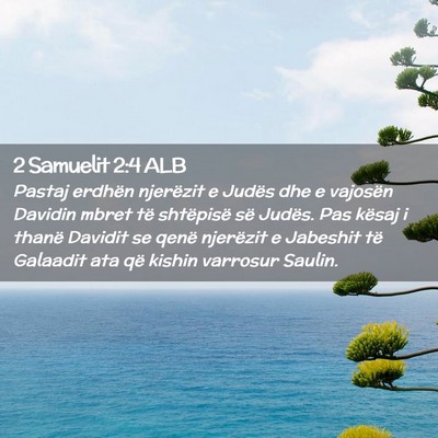 Picture 02 - 2 Samuelit 2:4 ALB - Pastaj erdhën njerëzit e Judës dhe e vajosën - Bible Verse Picture