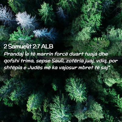 Picture 02 - 2 Samuelit 2:7 ALB - Prandaj le të marrin forcë duart tuaja dhe - Bible Verse Picture