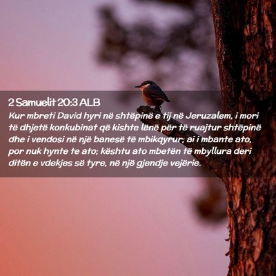 Picture 02 - 2 Samuelit 20:3 ALB - Kur mbreti David hyri në shtëpinë e tij në - Bible Verse Picture