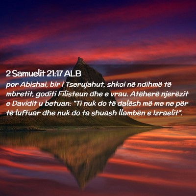 Picture 02 - 2 Samuelit 21:17 ALB - por Abishai, bir i Tserujahut, shkoi në ndihmë - Bible Verse Picture