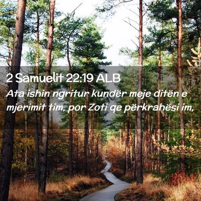 Picture 02 - 2 Samuelit 22:19 ALB - Ata ishin ngritur kundër meje ditën e mjerimit - Bible Verse Picture