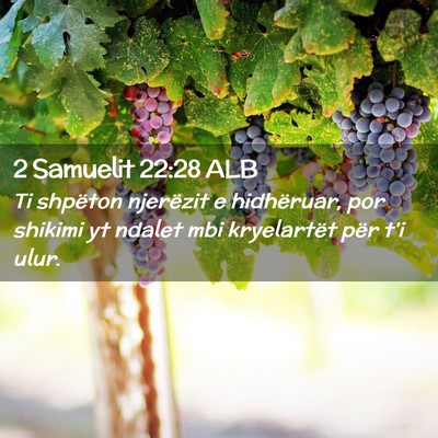 Picture 02 - 2 Samuelit 22:28 ALB - Ti shpëton njerëzit e hidhëruar, por shikimi - Bible Verse Picture