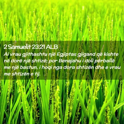 Picture 02 - 2 Samuelit 23:21 ALB - Ai vrau gjithashtu një Egjiptas gjigand që - Bible Verse Picture
