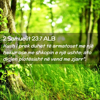 Picture 02 - 2 Samuelit 23:7 ALB - Kush i prek duhet të armatoset me një hekur ose - Bible Verse Picture
