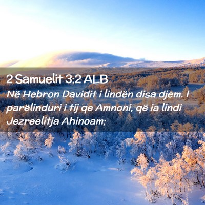 Picture 02 - 2 Samuelit 3:2 ALB - Në Hebron Davidit i lindën disa djem. I - Bible Verse Picture