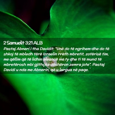 Picture 02 - 2 Samuelit 3:21 ALB - Pastaj Abneri i tha Davidit: 