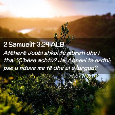Picture 02 - 2 Samuelit 3:24 ALB - Atëherë Joabi shkoi te mbreti dhe i tha: - Bible Verse Picture