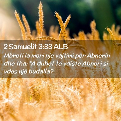 Picture 02 - 2 Samuelit 3:33 ALB - Mbreti ia mori një vajtimi për Abnerin dhe tha: - Bible Verse Picture