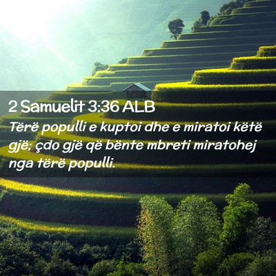Picture 02 - 2 Samuelit 3:36 ALB - Tërë populli e kuptoi dhe e miratoi këtë - Bible Verse Picture