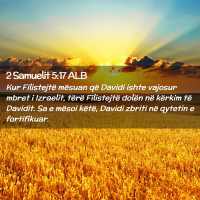 Picture 02 - 2 Samuelit 5:17 ALB - Kur Filistejtë mësuan që Davidi ishte vajosur - Bible Verse Picture