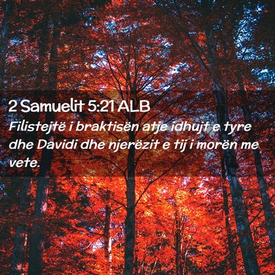 Picture 02 - 2 Samuelit 5:21 ALB - Filistejtë i braktisën atje idhujt e tyre dhe - Bible Verse Picture