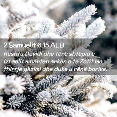 Picture 02 - 2 Samuelit 6:15 ALB - Kështu Davidi dhe tërë shtëpia e Izraelit - Bible Verse Picture
